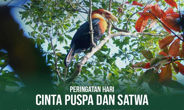 Hari Cinta Puspa dan Satwa Nasional