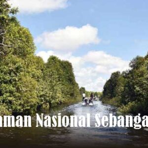 Taman Nasional Sebangau